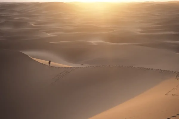 Oasis Perdidos: Confort y Exploración en el Corazón del Sáhara Oasis Perdidos: Confort y Exploración en el Corazón del Sáhara