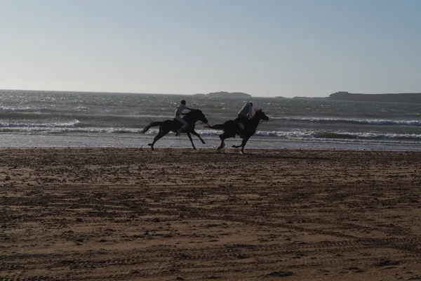 Especial para Aventureros: Expedición Nómada al Sáhara. Aventura y Descubrimiento a Pie Bajo las Estrellas Especial para Aventureros: Expedición Nómada al Sáhara. Aventura y Descubrimiento a Pie Bajo las Estrellas