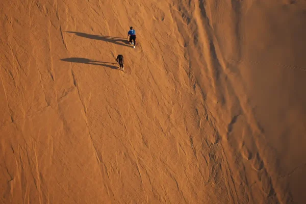 Oasis Perdidos: Confort y Exploración en el Corazón del Sáhara Oasis Perdidos: Confort y Exploración en el Corazón del Sáhara