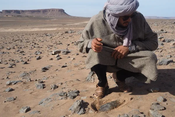 Flora y fauna: una odisea natural por los paisajes de Marruecos Flora y fauna: una odisea natural por los paisajes de Marruecos