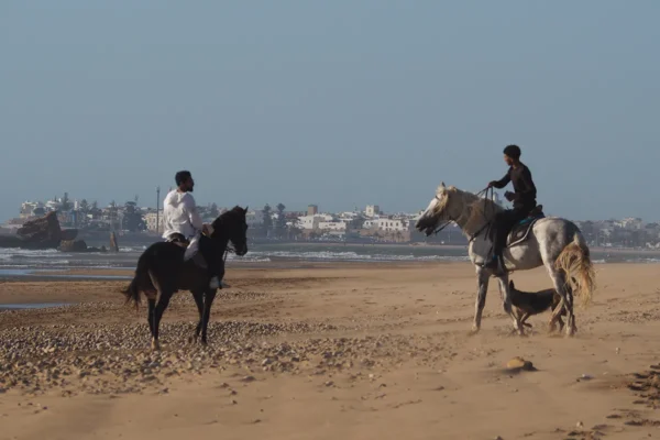 Especial para Aventureros: Expedición Nómada al Sáhara. Aventura y Descubrimiento a Pie Bajo las Estrellas Especial para Aventureros: Expedición Nómada al Sáhara. Aventura y Descubrimiento a Pie Bajo las Estrellas