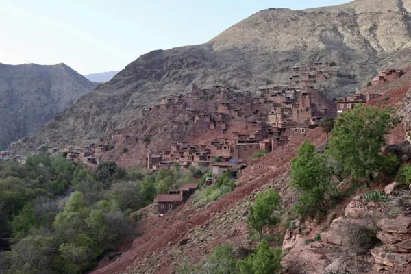 Flora y fauna: una odisea natural por los paisajes de Marruecos Flora y fauna: una odisea natural por los paisajes de Marruecos