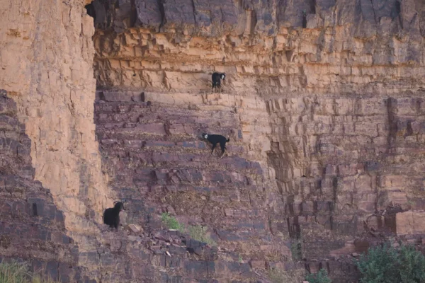 Formaciones extraordinarias, nómadas y pastores en las montañas del Saghro Formaciones extraordinarias, nómadas y pastores en las montañas del Saghro