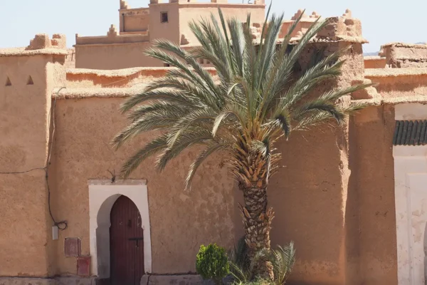 La ruta de las caravanas, un viaje de conexión, resistencia y legado La ruta de las caravanas, un viaje de conexión, resistencia y legado