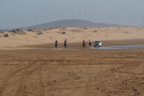Especial para Aventureros: Expedición Nómada al Sáhara. Aventura y Descubrimiento a Pie Bajo las Estrellas Especial para Aventureros: Expedición Nómada al Sáhara. Aventura y Descubrimiento a Pie Bajo las Estrellas