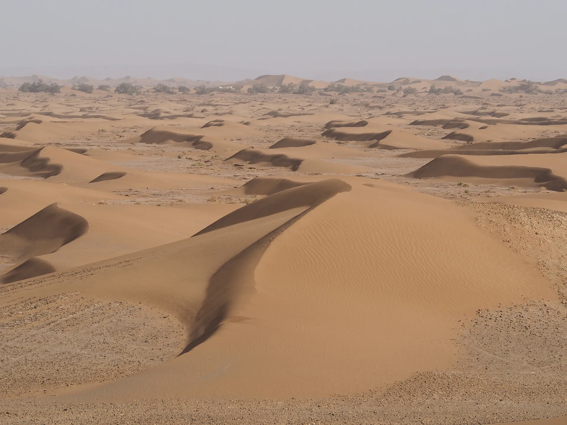 Especial para Aventureros: Expedición Nómada al Sáhara. Aventura y Descubrimiento a Pie Bajo las Estrellas