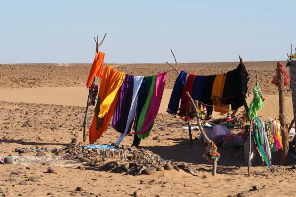 Una exploración a través de los pueblos y tribus del sur: la vida auténtica de Marruecos Una exploración a través de los pueblos y tribus del sur: la vida auténtica de Marruecos
