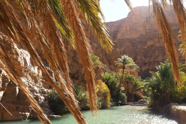 Hacia la tierra olvidada: una travesía entre cañones y la costa desconocida Hacia la tierra olvidada: una travesía entre cañones y la costa desconocida