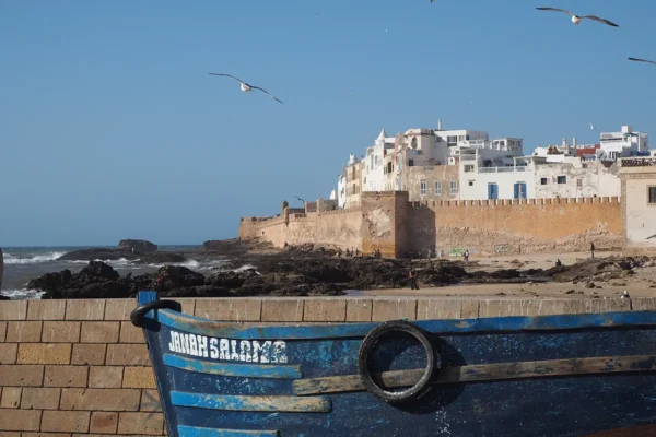 Tesoros de la Humanidad: Un Viaje por los Patrimonios de Marruecos Tesoros de la Humanidad: Un Viaje por los Patrimonios de Marruecos