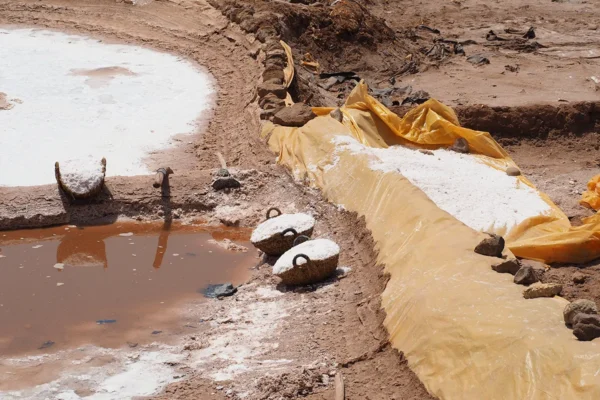 Un viaje a través de una vida dedicada al mar: Exploración y disfrute costero Un viaje a través de una vida dedicada al mar: Exploración y disfrute costero