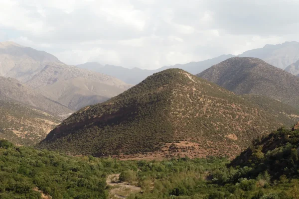 Tesoros de la Humanidad: Un Viaje por los Patrimonios de Marruecos Tesoros de la Humanidad: Un Viaje por los Patrimonios de Marruecos
