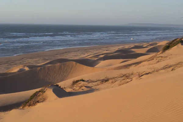 Un viaje a través de una vida dedicada al mar: Exploración y disfrute costero Un viaje a través de una vida dedicada al mar: Exploración y disfrute costero