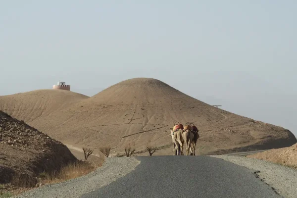 Descubriendo el arte ancestral: una travesía por las montañas del Atlas y el legado de las mujeres artesanas Descubriendo el arte ancestral: una travesía por las montañas del Atlas y el legado de las mujeres artesanas