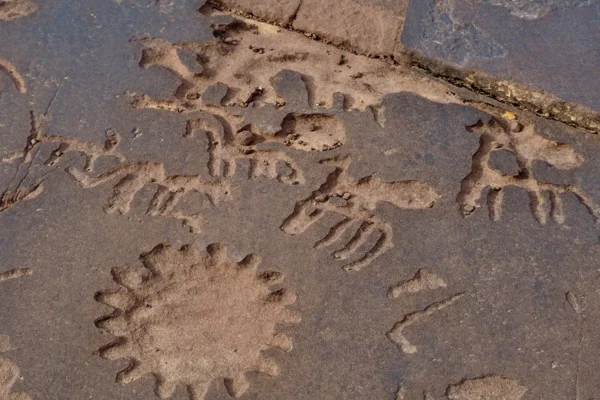 Marruecos bajo la huella de los ancestros: exploración de dinosaurios, fósiles y grabados rupestres Marruecos bajo la huella de los ancestros: exploración de dinosaurios, fósiles y grabados rupestres