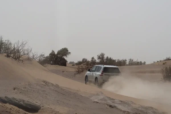 Los caminos de los grandes rallys: adrenalina y polvo sobre ruedas Los caminos de los grandes rallys: adrenalina y polvo sobre ruedas
