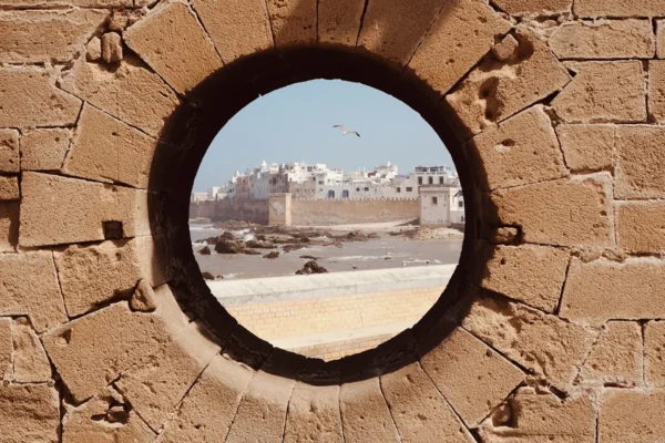 Tesoros de la Humanidad: Un Viaje por los Patrimonios de Marruecos Tesoros de la Humanidad: Un Viaje por los Patrimonios de Marruecos