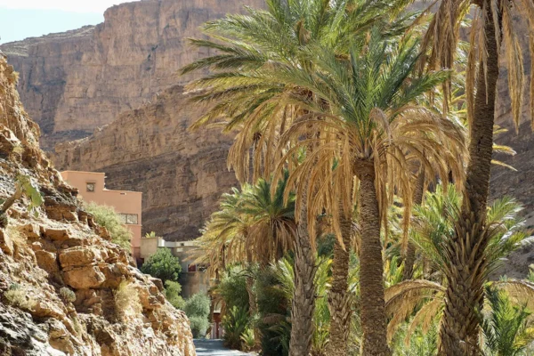 Playas, Dunas y Cañones: Adrenalina entre Costa y Desierto Playas, Dunas y Cañones: Adrenalina entre Costa y Desierto