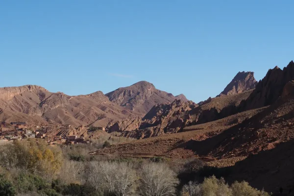 Los caminos de los grandes rallys: adrenalina y polvo sobre ruedas Los caminos de los grandes rallys: adrenalina y polvo sobre ruedas