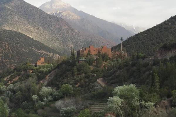 Tesoros de la Humanidad: Un Viaje por los Patrimonios de Marruecos Tesoros de la Humanidad: Un Viaje por los Patrimonios de Marruecos
