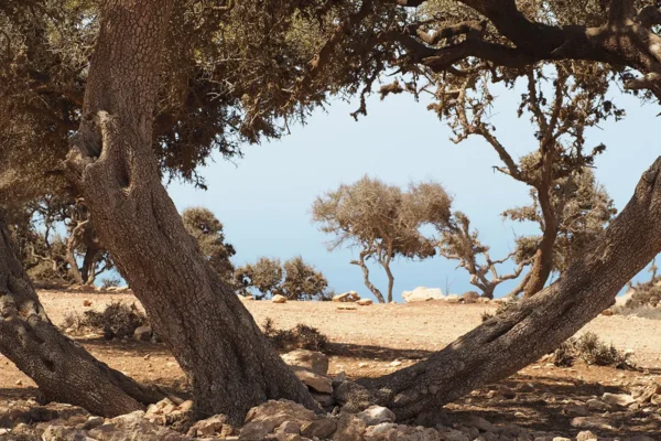 Un viaje a través de una vida dedicada al mar: Exploración y disfrute costero Un viaje a través de una vida dedicada al mar: Exploración y disfrute costero