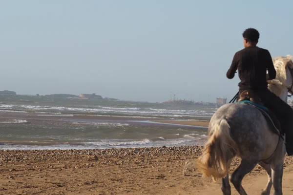 Un viaje legendario a caballo por la última frontera atlántica Un viaje legendario a caballo por la última frontera atlántica