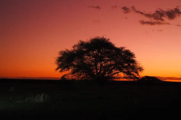 Fotográfico: Paisajes Extremos, Donde la Naturaleza se Convierte en Arte Fotográfico: Paisajes Extremos, Donde la Naturaleza se Convierte en Arte