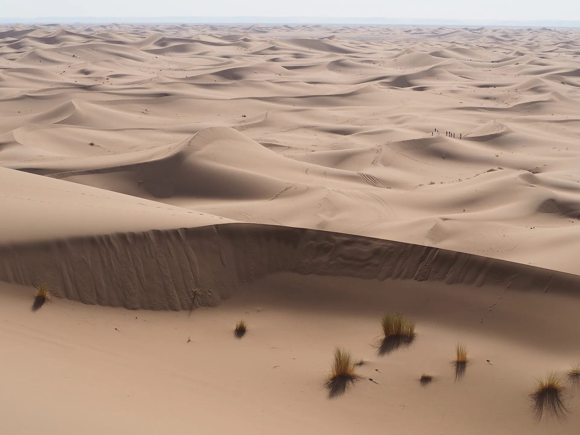 Hasta donde llegue el Draa: explorando el límite entre el desierto y la vida amazigh