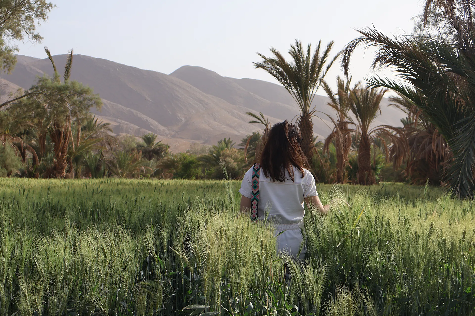 Un viaje exclusivo de cultura, romance y aventura local